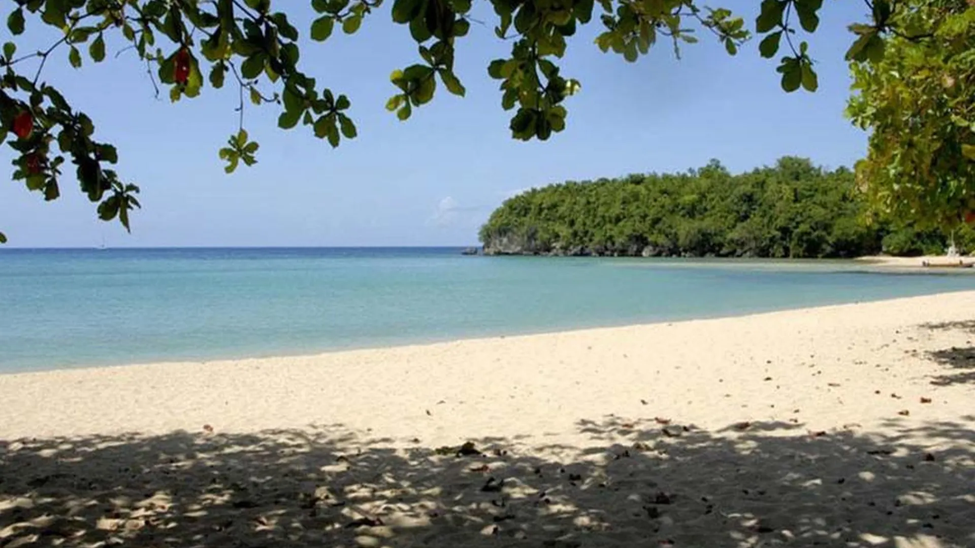 Shaw Park Beach Hotel & Spa Ocho Rios